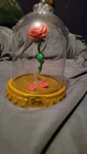 Funko Pop! Disney Beauty & The Beast Enchanted Rose Hot Topic Exclusive (Read)