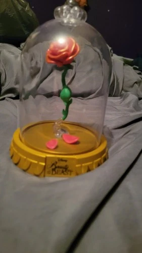 Funko Pop! Disney Beauty & The Beast Enchanted Rose Hot Topic Exclusive (Read)