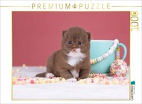 "Calvendo Puzzle An Image From The \"Kitten\" Calendar - British Shorthair | 1000 P"