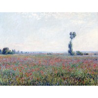 Claude Monet Mohnfeld Kunstplakat GroßEr Leinwanddruck 46X61 Cm