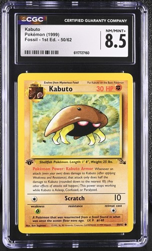 Kabuto 50/62 Fossil Regular