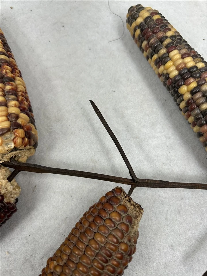 антикварная кукурузная сушилка железная металлическая стойка ферма примитивный подвес с ушами оригинал 1800 - Изображение 3 из 4