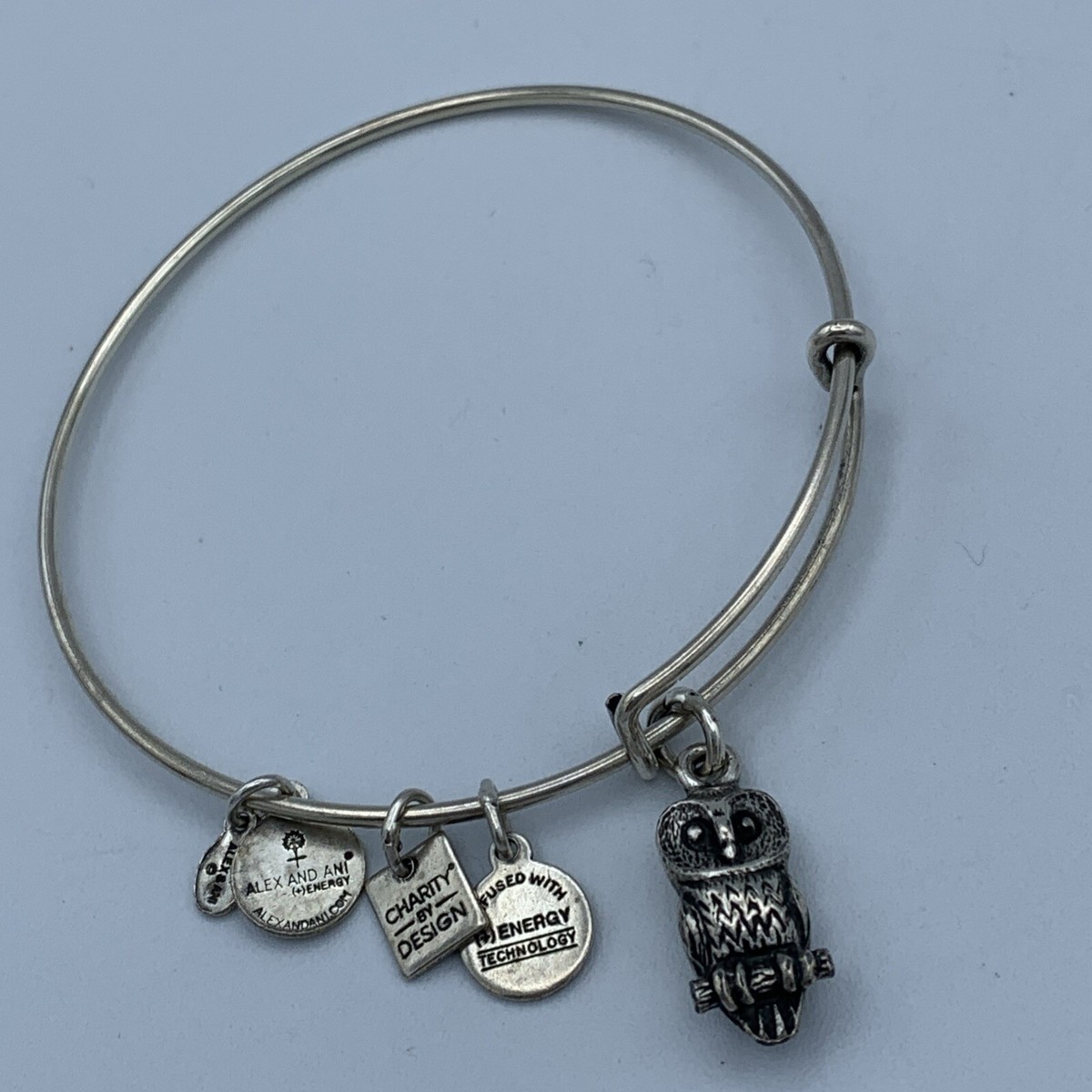 Silver Bangle Alex And Ani Camera Charm Bracelet Camera Charm