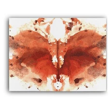 Imaginations Framed Canvas Stretched Ready to Hang 50x40 Home decor Gift.