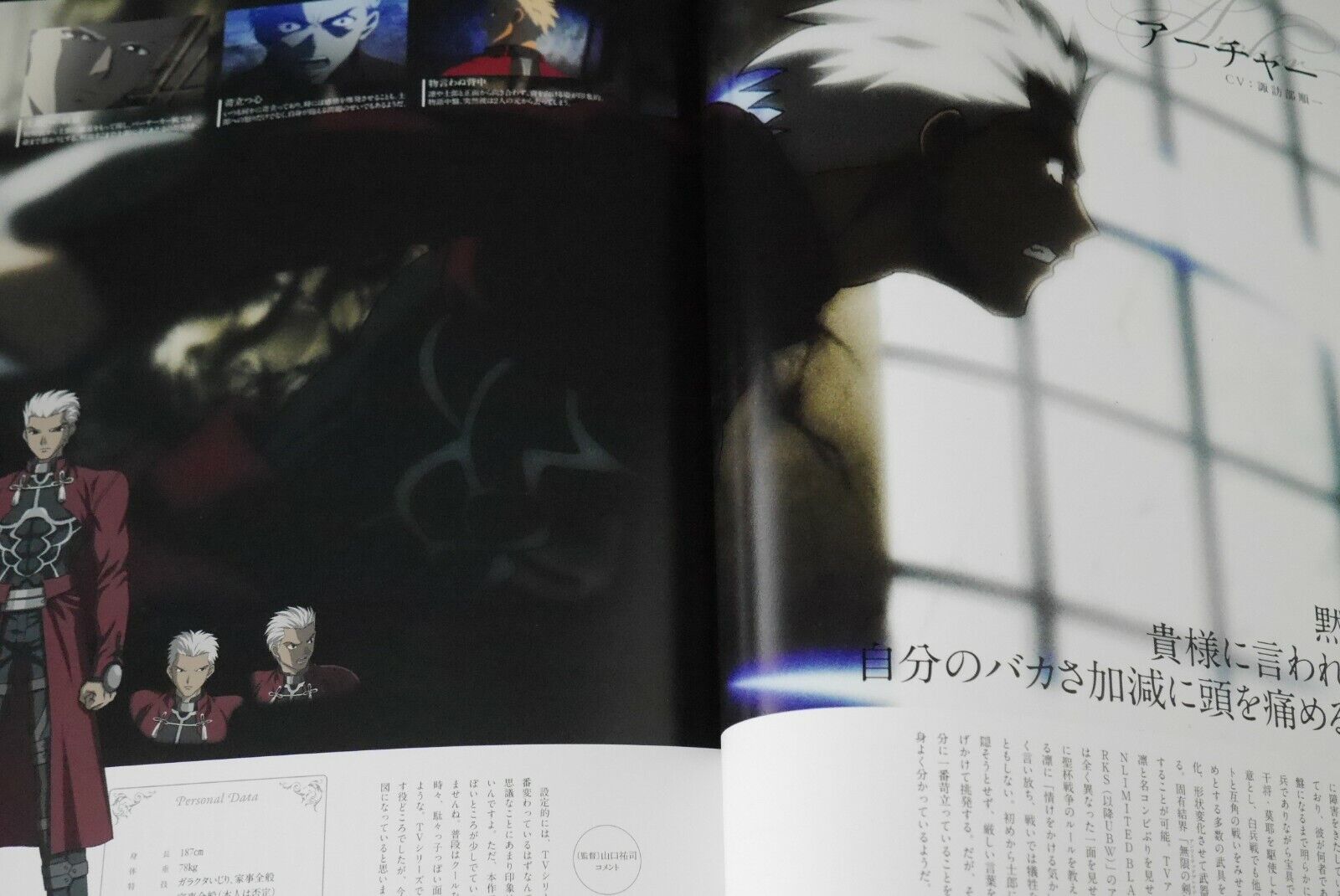 Anime PC Game Fate Stay Night Unlimited Blade Works Official Guide Book  Japan