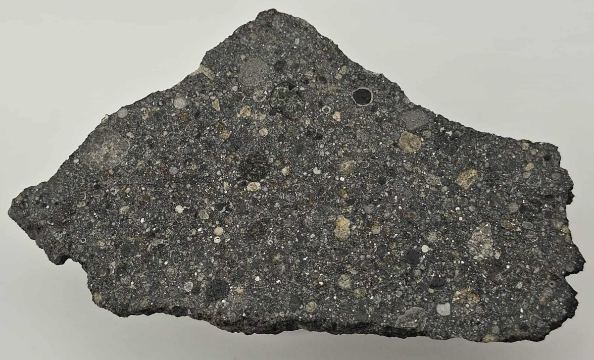 Les Météorites Duo Taoussat-n-Amouzzour 001 - OC Meteorite L3.2 Polished Slice with