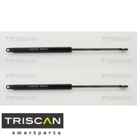 2X Gasfeder FüR Motorhaube Triscan 871011103 2 GasdäMpfer Motorraum FüR BMW