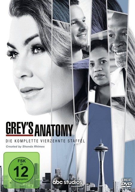Grey S Anatomy Staffel 14 6 Dvd Online Kaufen Ebay