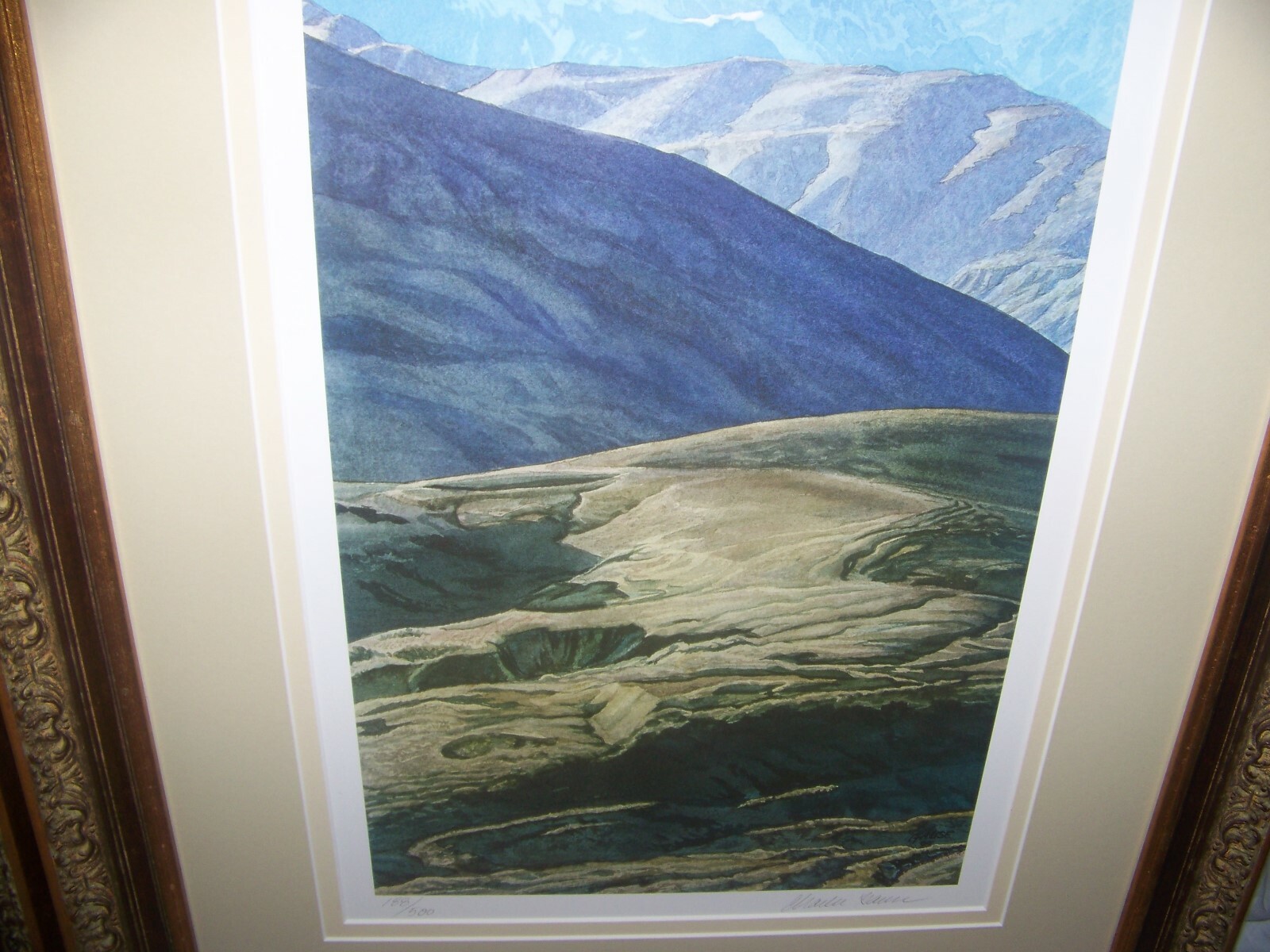 Picture 8 of 11