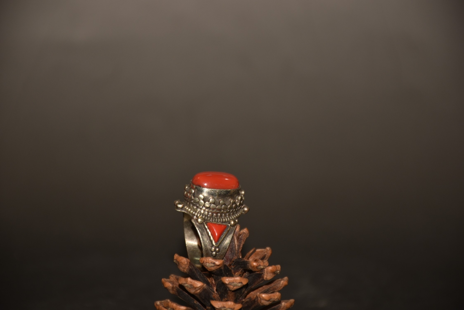 Picture 6 of 6