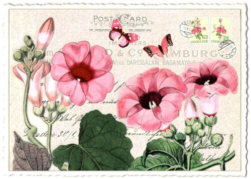Edition Tausendschön | Postkarte A6 | Flora & Fauna | Motiv wählbar - Bild 42 von 78
