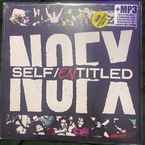 NOFX レコード2枚 NOFX レコード LP 2枚セット まとめ売り