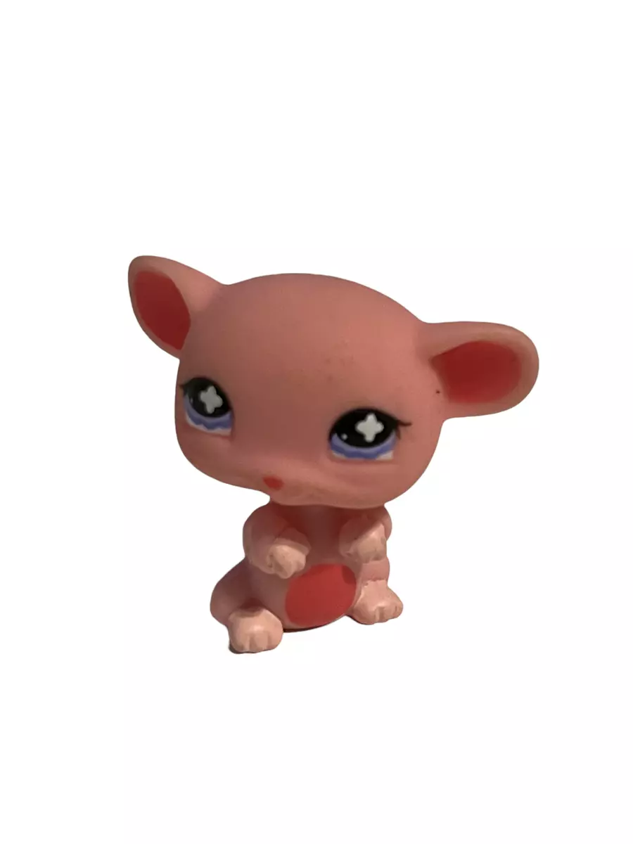 Mouse pet store shop