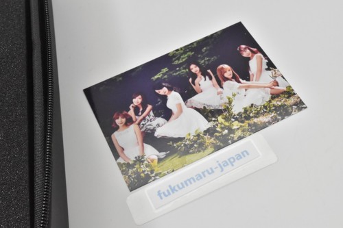 Palo de luz oficial Apink Penlight Ver.2 K-pop con estuche para bolígrafos, tarjeta fotográfica - Imagen 17 de 24