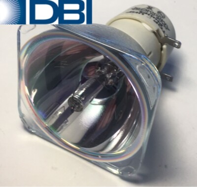 GENUINE ORIGINAL OEM PHILIPS AM220-150W E20.6 BULB FOR MANY PROJECTORS NMV