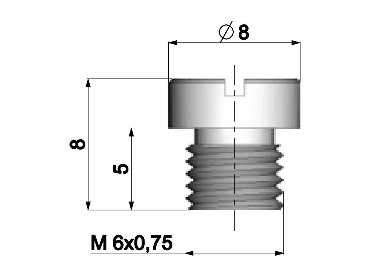 Carburetor Vergaser Hauptdüse für: Polini 6mm-Dellorto