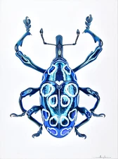 Alex Nizovsky – Jewel Beetle #1 – Photorealism Biology Art Painting 30"x40"