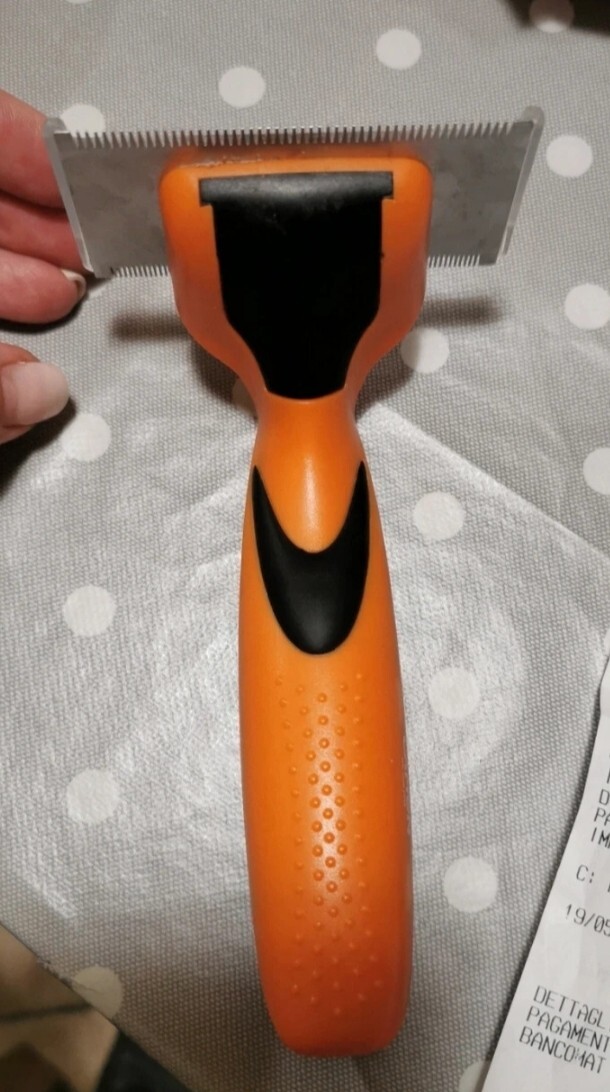 Foto 3 di 3