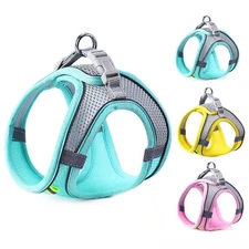 Cat Dog Harness Vest Chest Rope Set Reflective Breathable Adjustable Pet Harness