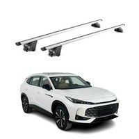 DachträGer FüR MG HS II / EHS II 2024-2026 100Kg Aluminium Silber 2X ABE