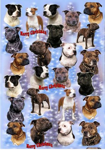 Papel de Navidad Staffordshire Bull Terrier Dog de Starprint - 1 hoja semi brillante - Imagen 1 de 1