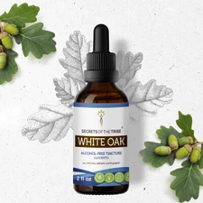 Secrets Of The Tribe White Oak Tincture Alcohol-FREE