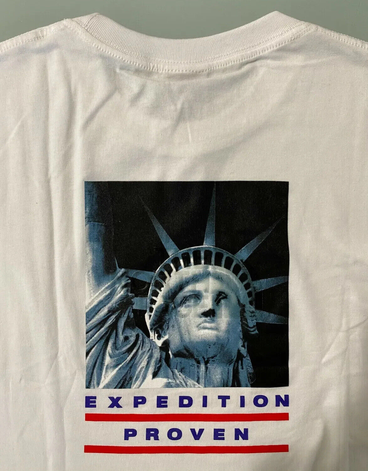 Supreme x The North Face Statue Of Liberty Tee