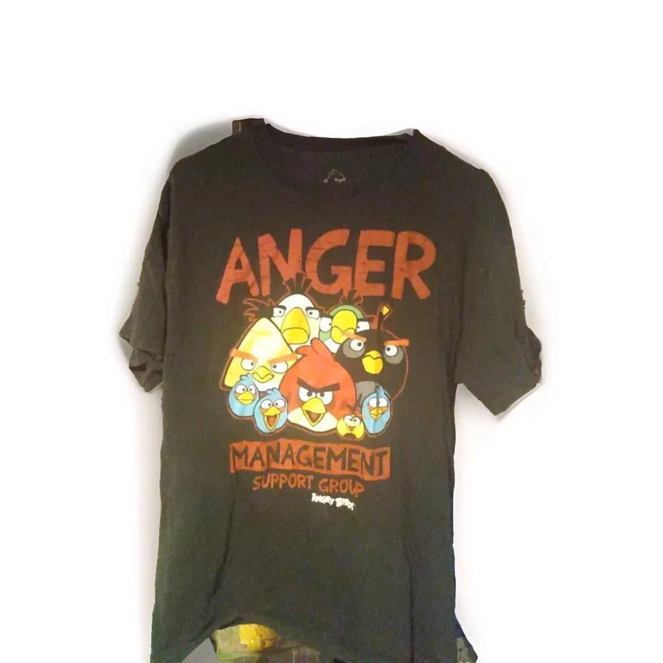 Angry Birds Women's T-shirt Size Large - Image 2 of 3