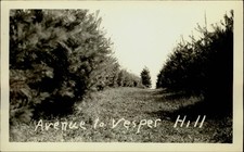 RPPC Avenue to Vesper Hill unknown location ANSCO 1930-40s real photo postcard