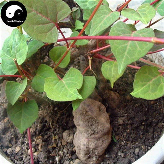 Pastillas para el crecimiento del cabello para hombres - DHT BLOCKER HAIR FORMULA - he shou wu extracto 2 BOTELLAS Foto 4 de 4