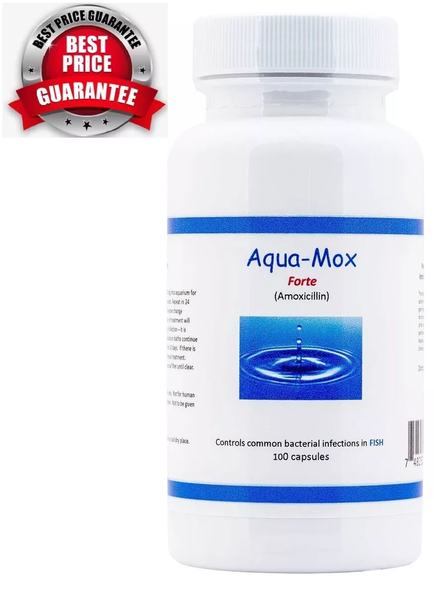Aqua mox 500mg amoxicillin antibiotic