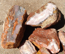 Laguna Agate Cabbing rough