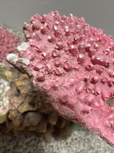 Coral Reef Aquarium Decoration Fish Tank Ornament Resin Rock Cave Clams 7” Tall - Picture 17 of 21