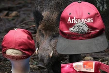VTG Arkansas Razorbacks Strapback Cap Hat Twins Enterprise  Hog 90s