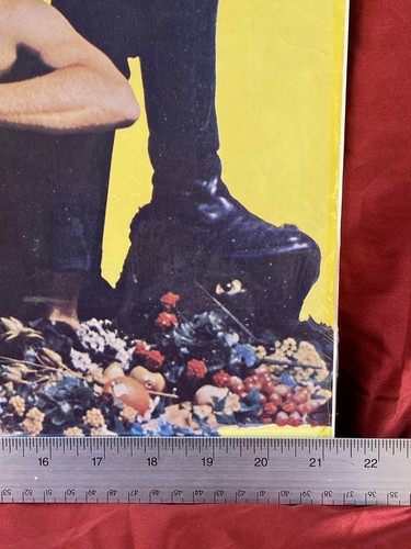RARE 1968 Country Joe and the Fish I-Feel-Like-I’m-Fixin’-to-Die Brodsky POSTER - Picture 11 of 11