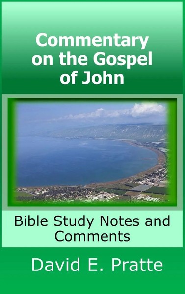David Pratte | Commentary On The Gospel Of John | Buch | Englisch (2018)-image