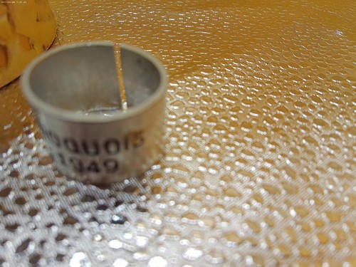 Iroquois 1949 ring drum Calfskin parchment hand made painted lot 2 vintage - Picture 3 of 8