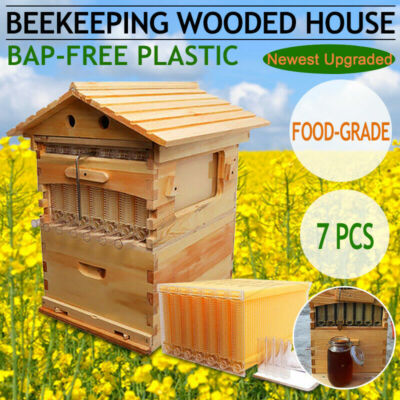 7X Upgraded Auto Honey Beehive Bee hive Frames + Beekeeping Brood Cedarwood Box