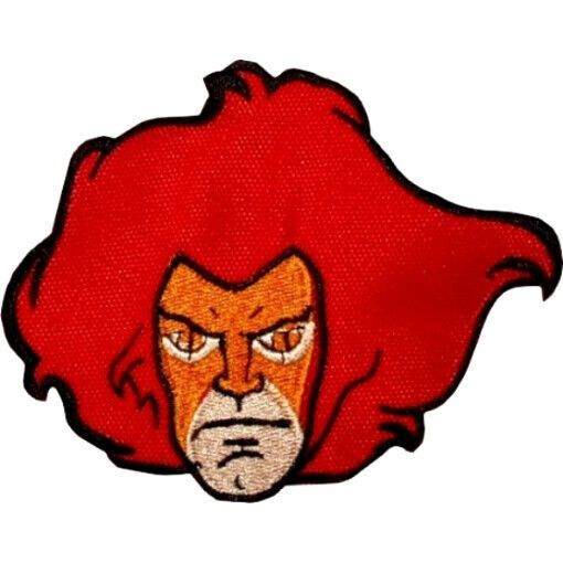 Lion-O Lord of the Thundercats  Thundercats cartoon, 80s cartoons,  Thundercats characters