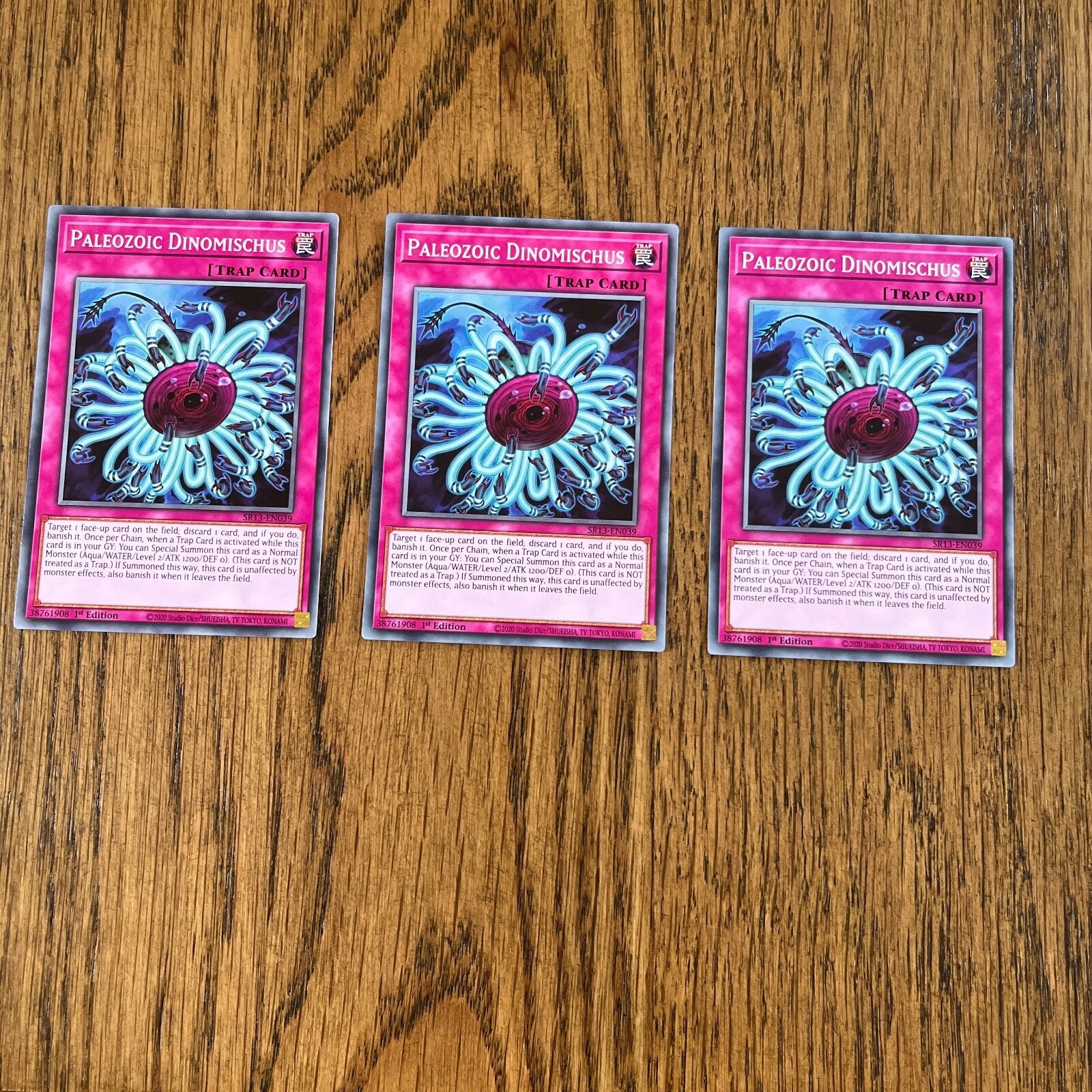 Picture 3 of 24