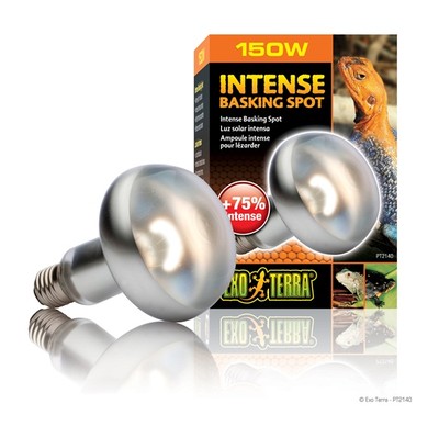 EXO TERRA INTENSE BASKING SPOT - 150 WATT - PT-2140