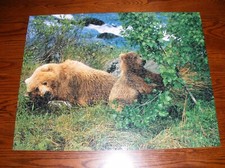 Milton Bradley Big Ben Kodiac Island, AK Puzzle, 1000 Piezas, Completo