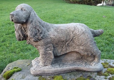 large spaniel