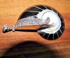 *Ciondolo italiano in argento sterling 925 conchiglia Nautilus 3"