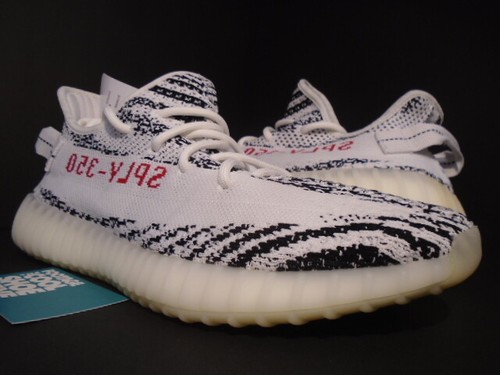kanye west zebra