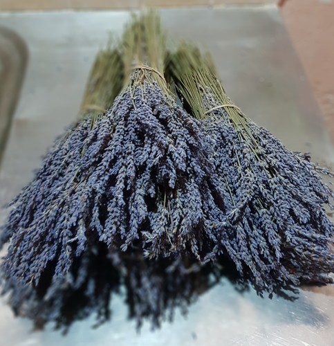 Greek Dried Lavender Bunch 6600 stems 300*22 Bunches 30-32cm Organic Harvest 25 - Picture 10 of 12