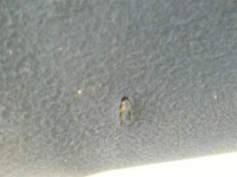 95-97 98 99 00 01 02 GRAND MARQUIS RIGHT PASSENGER SUN VISOR SUNVISOR Z10-148921 Foto 4 de 4