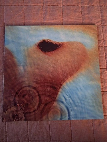 Pink Floyd Meddle 2016 Remastered 180g Vinyl LP