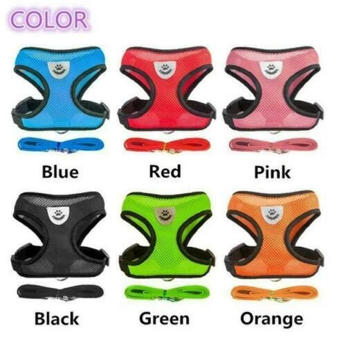 Markenlose Hundegeschirre aus Nylon