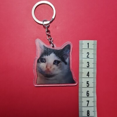 Schlüsselanhänger Katze Meme Cat Crying Sad